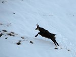 Salita al Monte Cavallo con la prima neve (2 novembre 08) - FOTOGALLERY